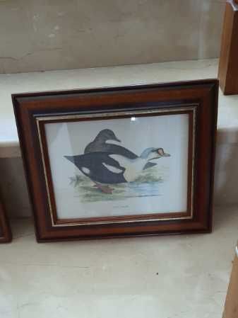 Quadros com molduras430583822072555520