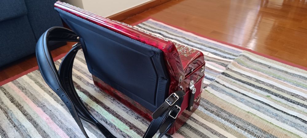 Acordeão Profissional - Dino Baffetti. Som Perfeito, condição ótima.64584338377731123