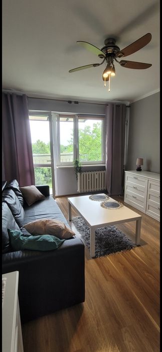 Dostępne mieszkanie 2 niezależne  pokoje z balkonem I widn - Widok 6