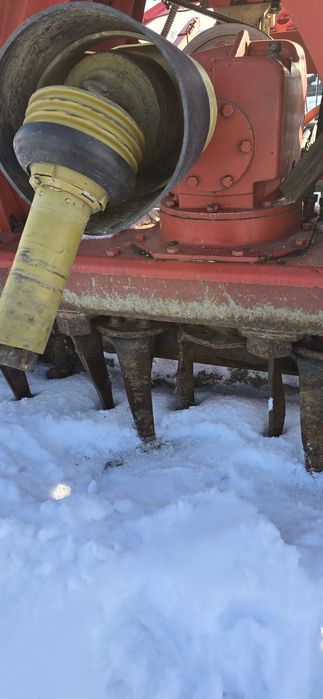 Siewnik vogel noot  aktywny 3m