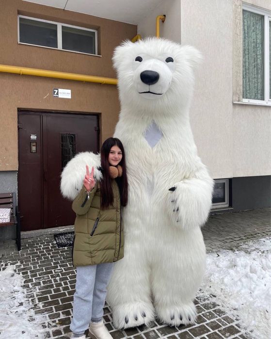 Білий ведмідь; Ведмедик; Панда