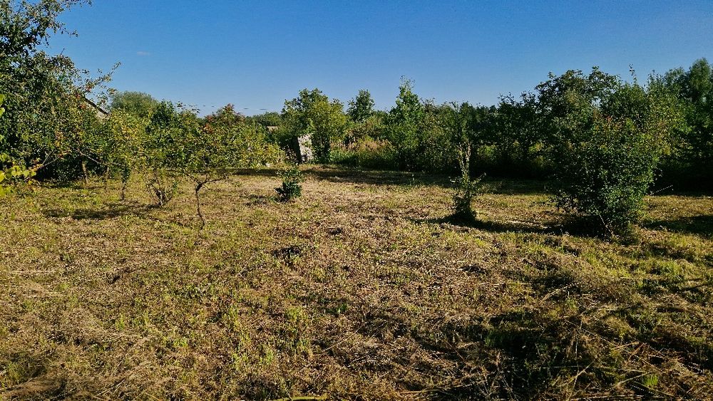 Земельна ділянка