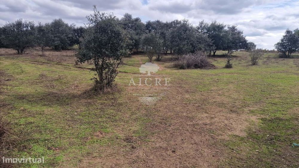 Quinta Com 5100 M2