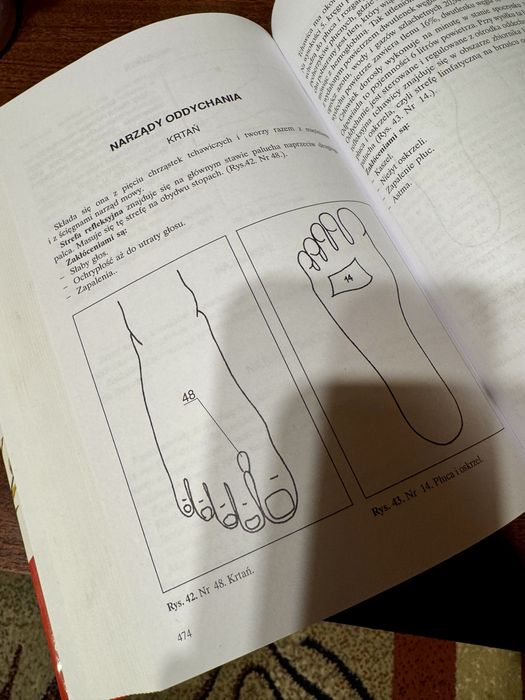 Apteka Natury Poradnik Zdrowia Jadwiga Górnicka nowa