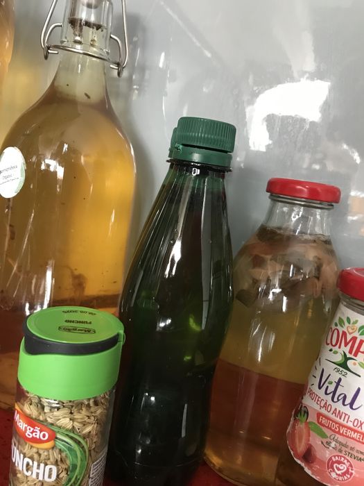 Kombucha caseira varios sabores