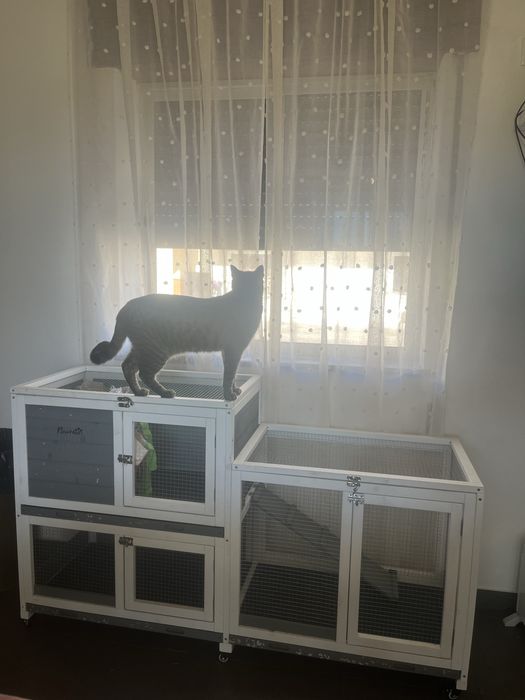 Coelheira PawHut com 3 tabuleiros