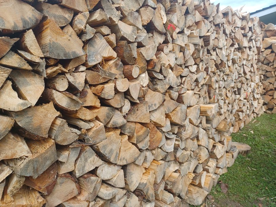 Drewno Sosna brzoza dąb buk grab