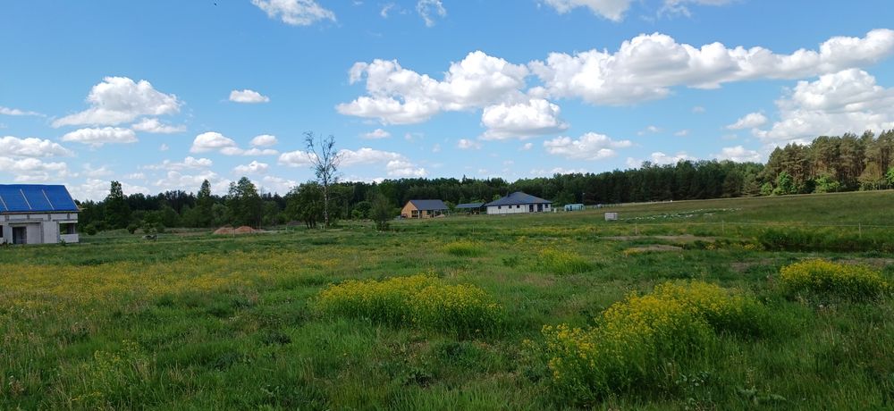 Działka 1000m Skrybicze warunki zabudowy
