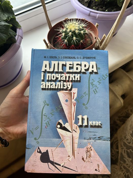 Алгебра і початки аналізу 11 клас М.І.Шкіль