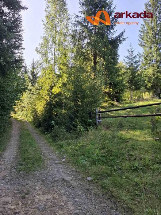 Продаю Земельну Ділянку в Микуличині