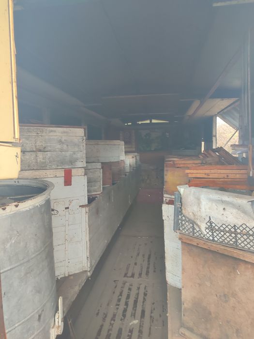 Павільйон для бжіл