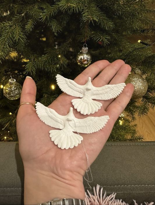 Prezent Christmas golębi para