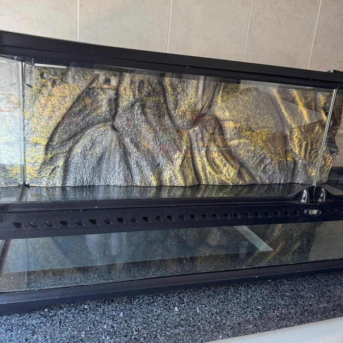 Pack Terrário para Réptil Exo Terra