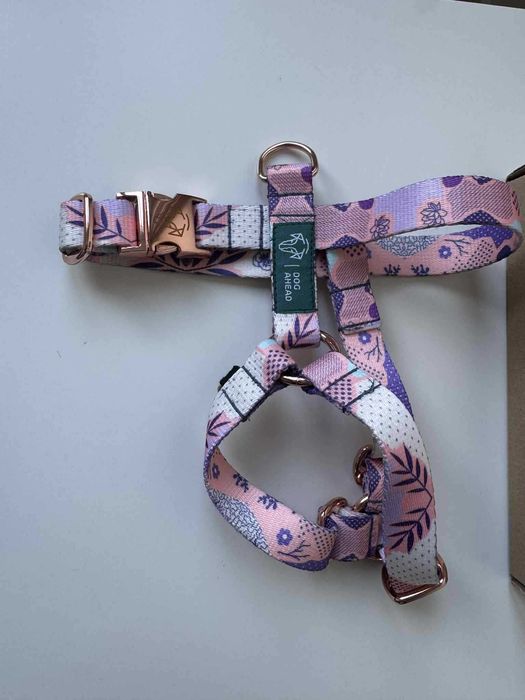 Szelki dla małego pieska (maltanczyk) Dog ahead