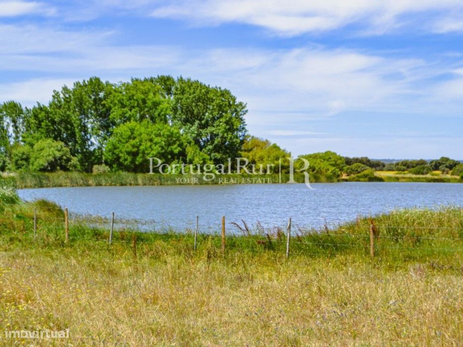 Propriedade de 155 ha com barragem privada