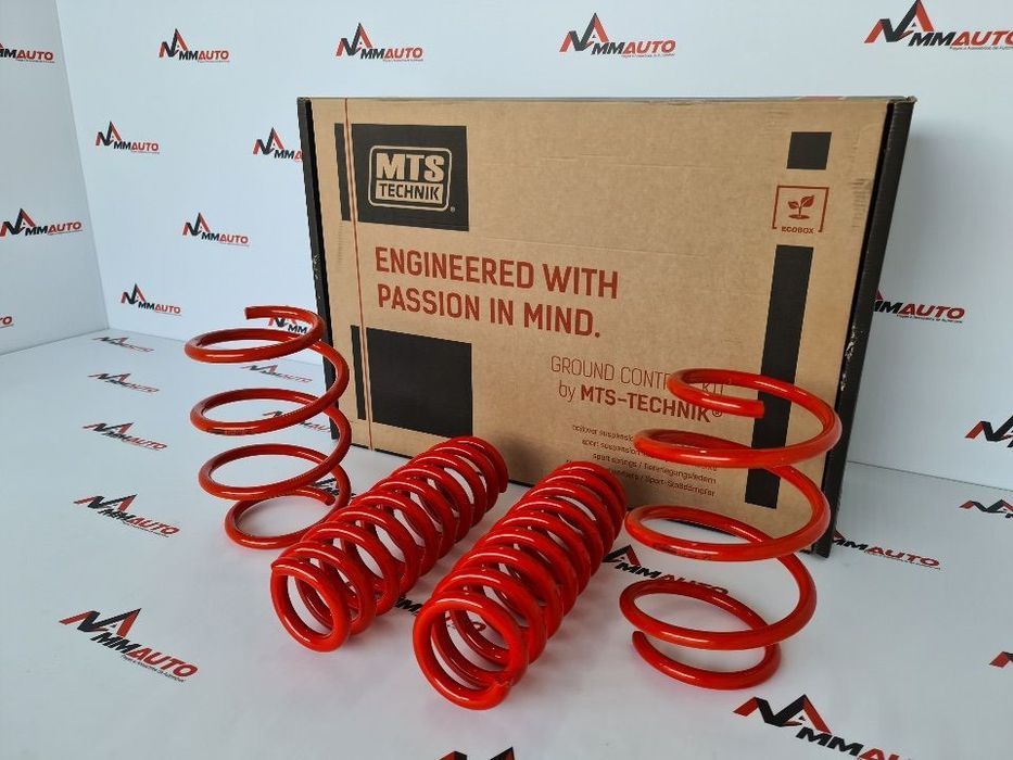 Molas Rebaixamento MTS Technik BMW F20 F21
