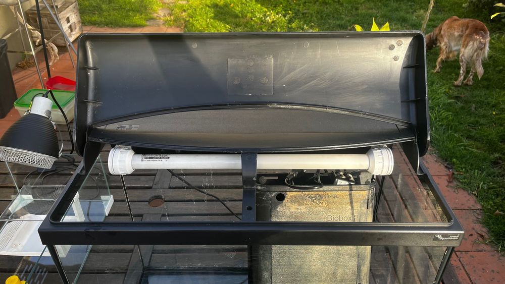 Aquários para peixes ou répteis, tartarugueira e equipamento