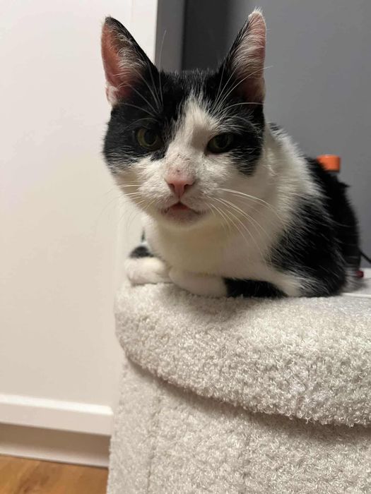 DOM potrzeby na JUŻ!