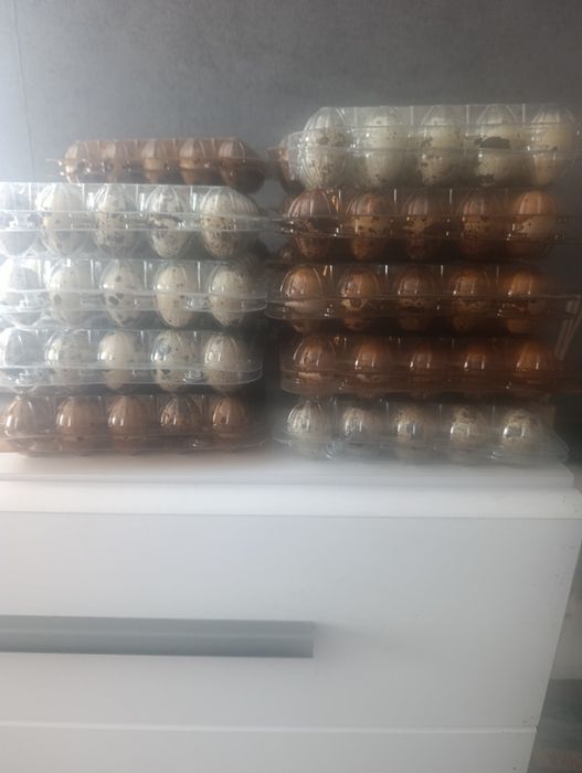 Продам столовое яицо перепела