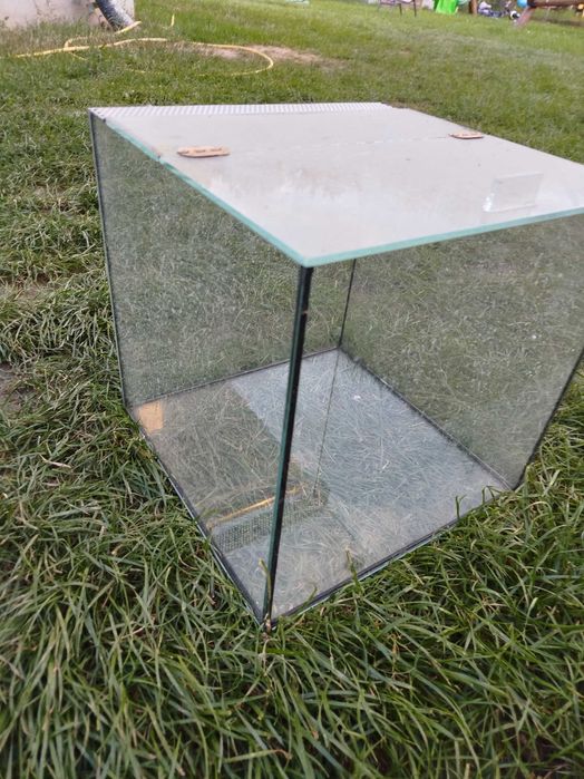 Terrariu Szklane