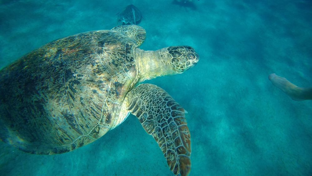 Kamerka GoPro Hero z akcesoriami