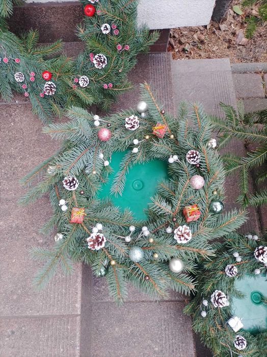 Choinka cięta świerk srebrny srebrzysty Stojak Dowóz w Głownie gratis