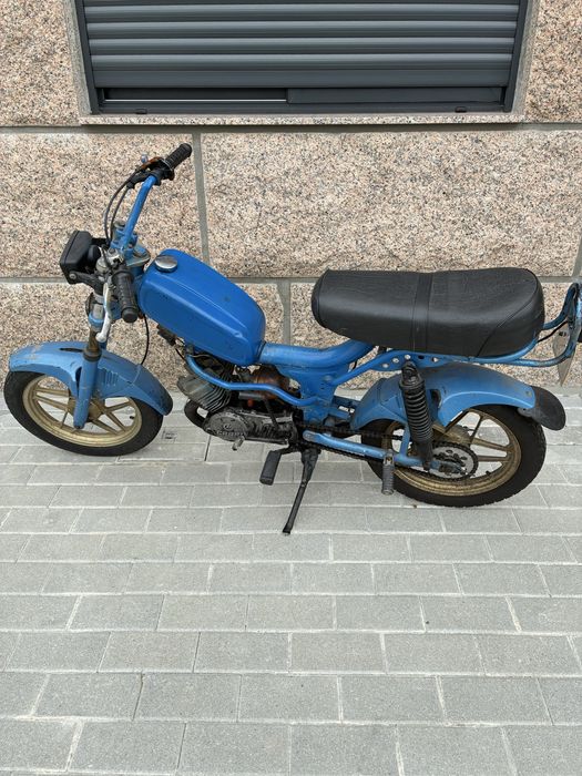 Vendo casal fundadora 2 k-168