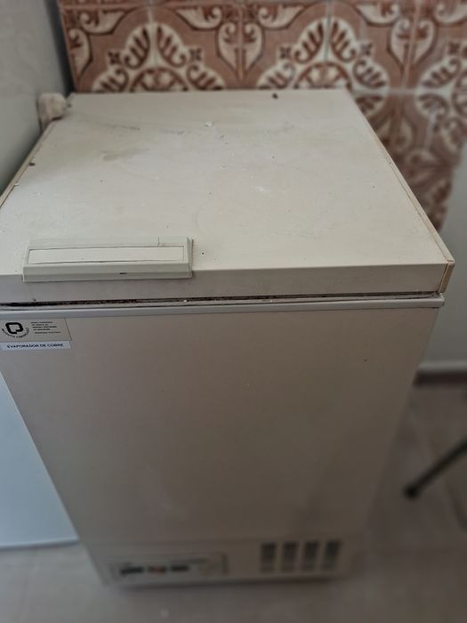 ARCA FRIGORÍFICA usado em bom estado