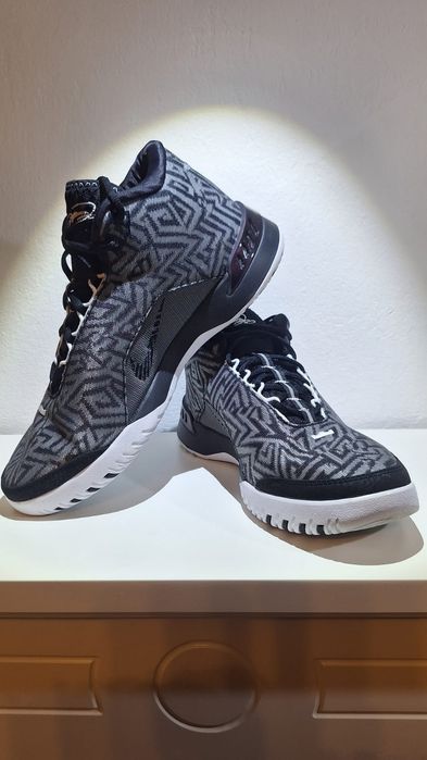 Кросівки Nike LBJ NXXT GENISUS, HF0712 004, US10.5 E44.5 28.5CM