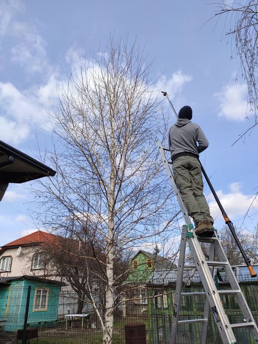 Обрізка саду Обрезка сада Обрізка дерев Обрезка деревьев