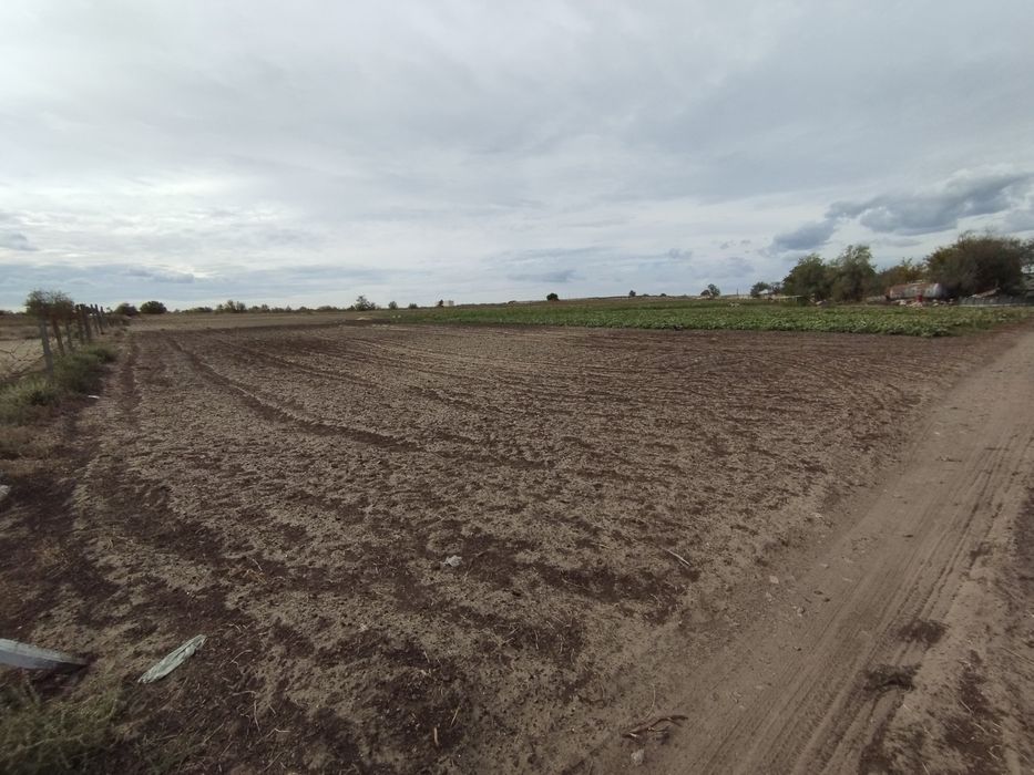 Сдам в аренду землю 6 Га на поливе