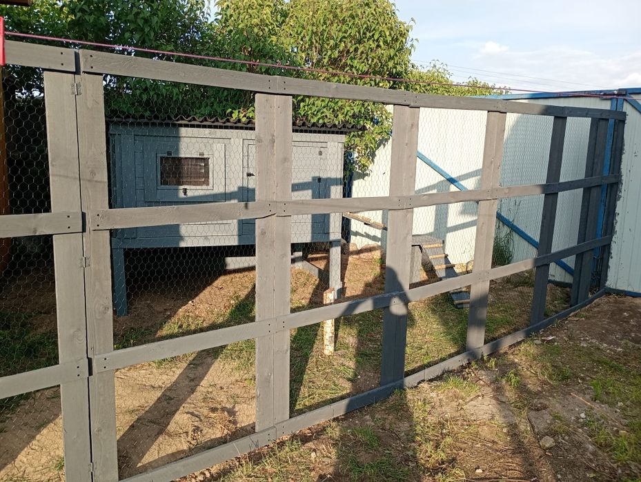 Na sprzedaż kurnik wraz z kurkami Silka