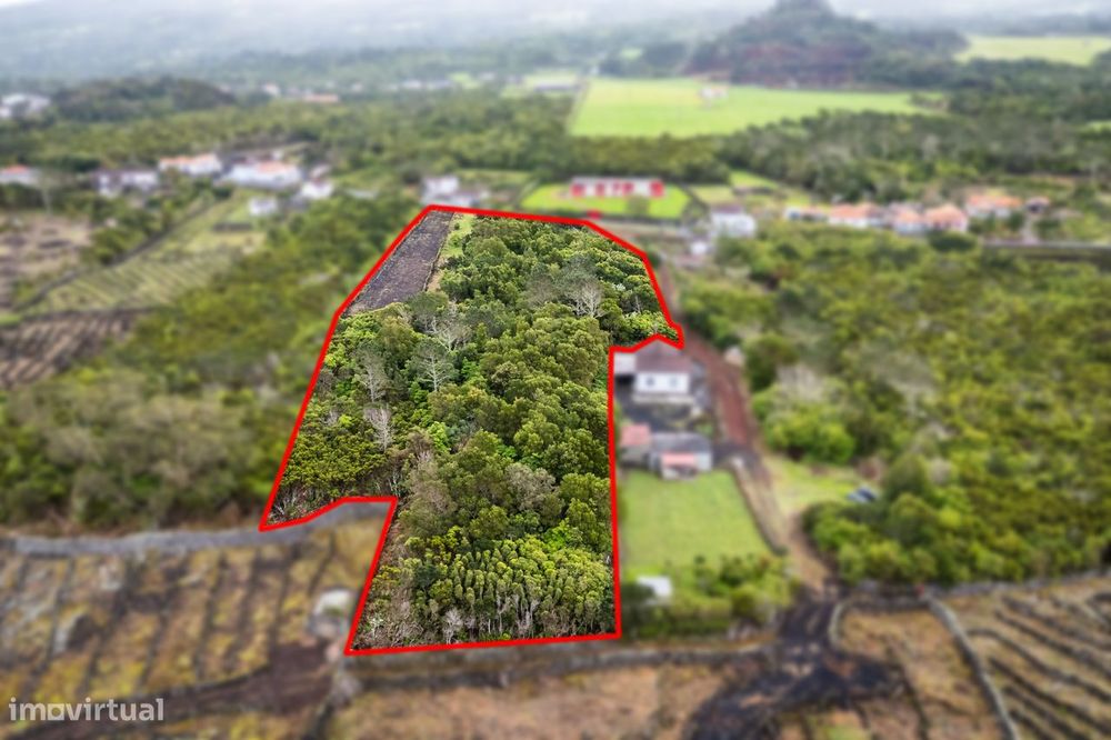 Terreno para construção - Ilha do Faial