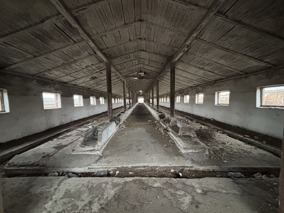 Оренда зерносклади, Ферми Радивилівський район