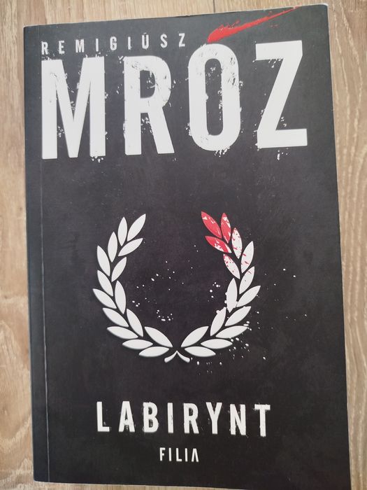 labirynt remigiusz mróz