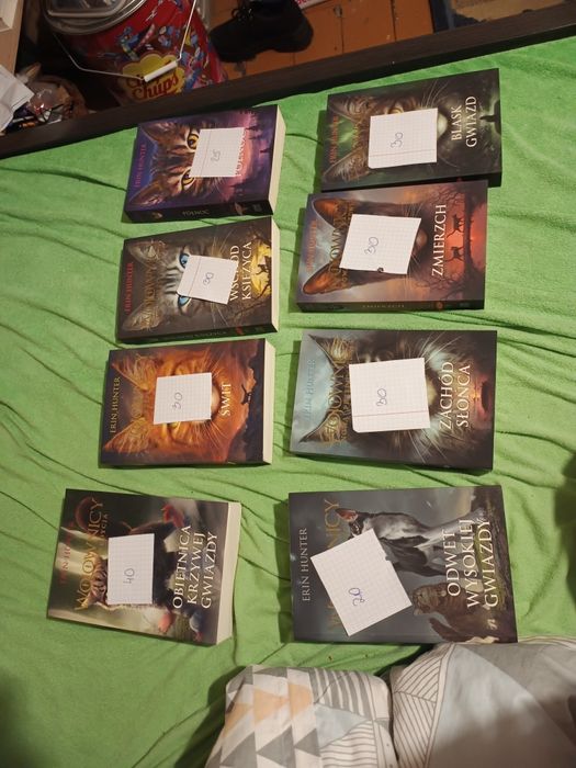 Seria książek Wojownicy