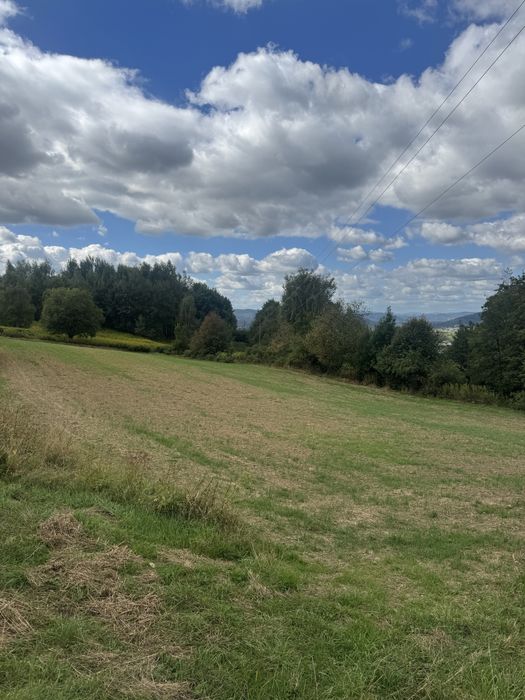 Działka rolna 0,47 hektara - Widok 3