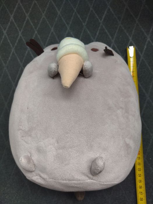 Pusheen z lodami #1