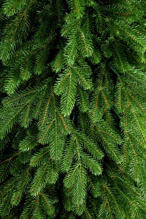 Штучна ялинка лита Рояль 1,5м