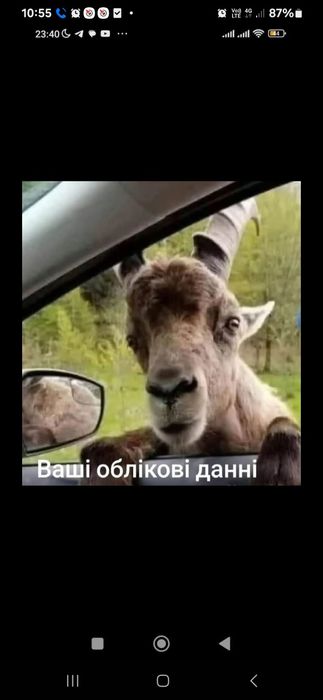 Сіно тюковане без втрати своєї поживності