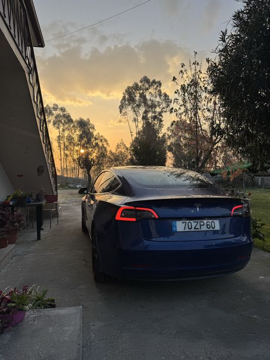 Tesla Model 3 Performance523505942900910081