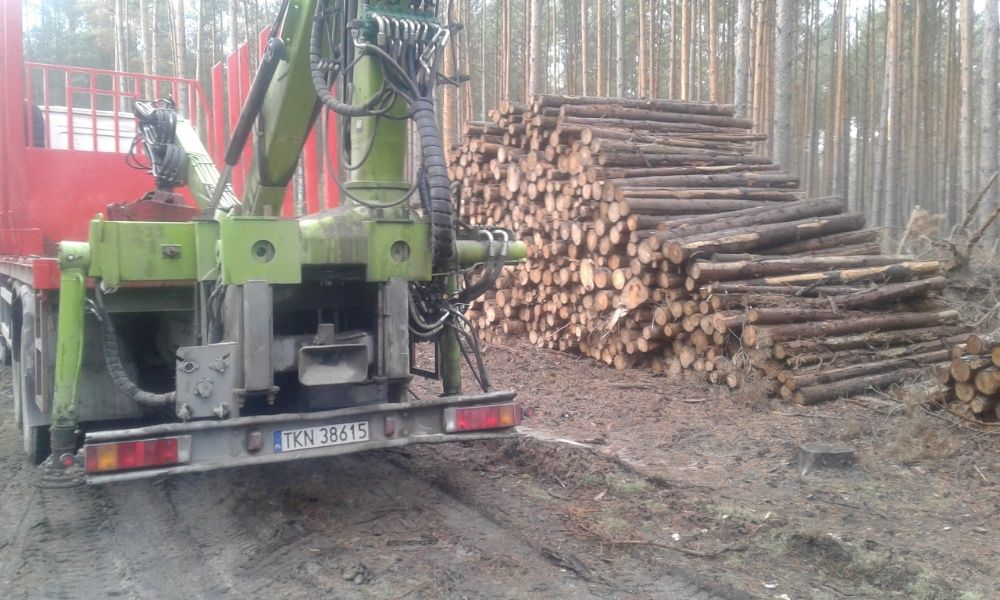 Drewno opałowe kominkowe papierówka paletówka s2a s2b kłoda