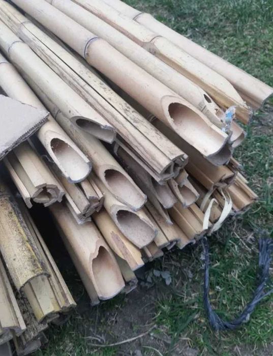 Tyczki pochodnie bambusowe 150-170 grube nowe