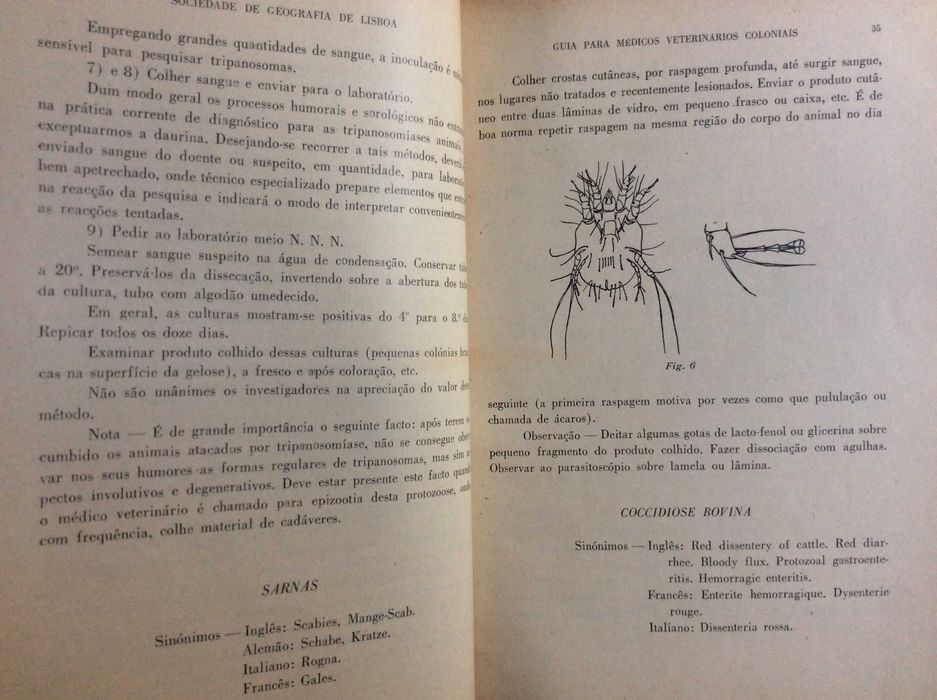 Boletim da Sociedade de Geografia de Lisboa. - 1947. Ver sumário