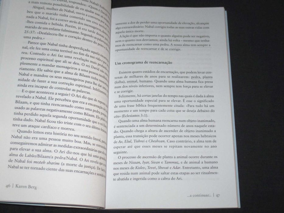 Book: Continuing... Reincarnation and the Meaning of Our Lives64553197926401124