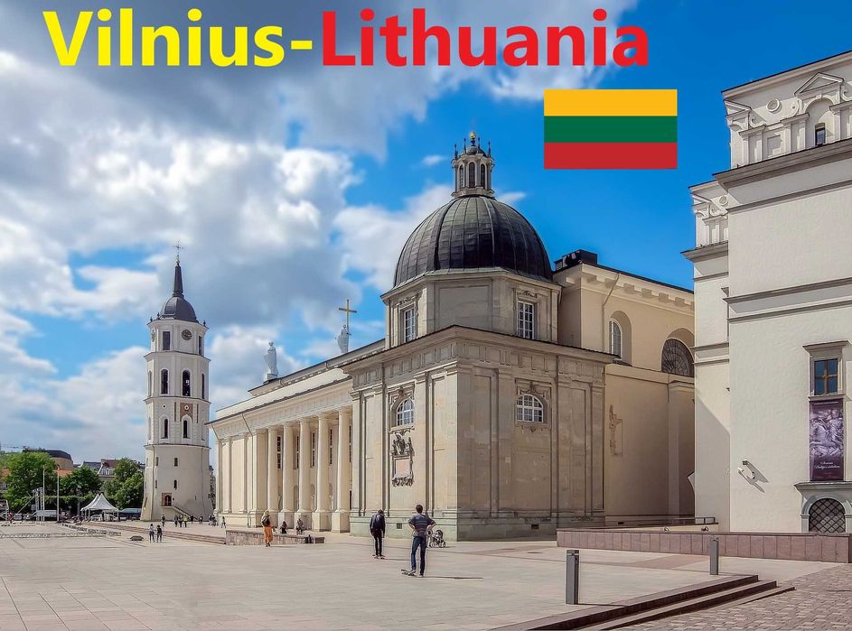 Magnes na lodówkę Litwa Wilno