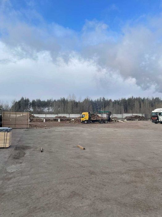 Пелетний завод Київська обл. Пилорама, сушка деревини