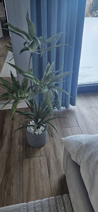 Sztuczne rosliny  dom