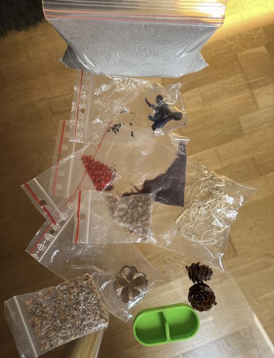 Messor Barbarus kolonia plus akcesoria