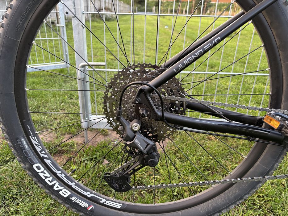 Rower Sensa Livigno EVO C11